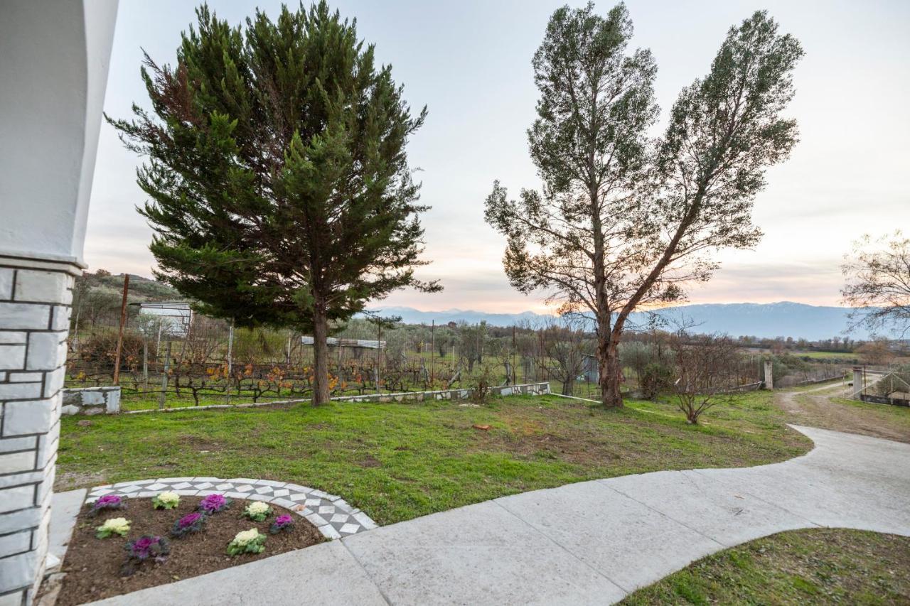 Τrικαλα - Μετεorα-Villa Toscana Tríkala Exterior foto
